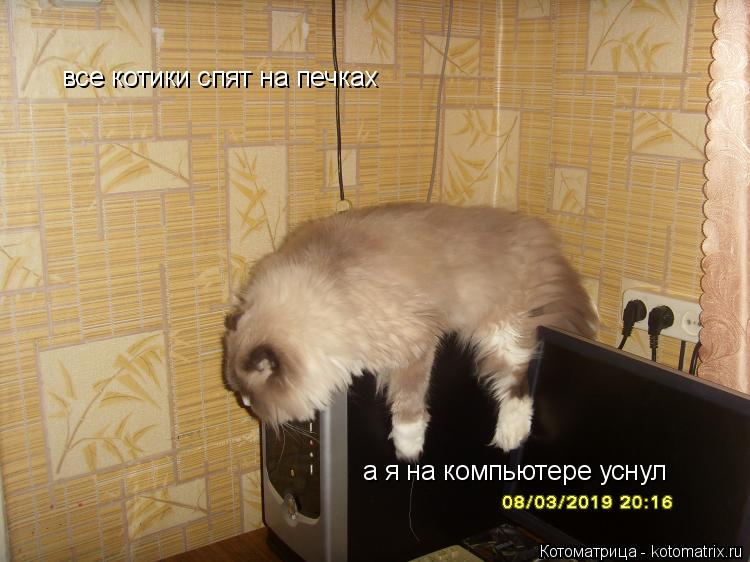 а я на компьютере уснул все котики спят на печках... Котоматрица: а я на компьютере уснул все котики спят на печках