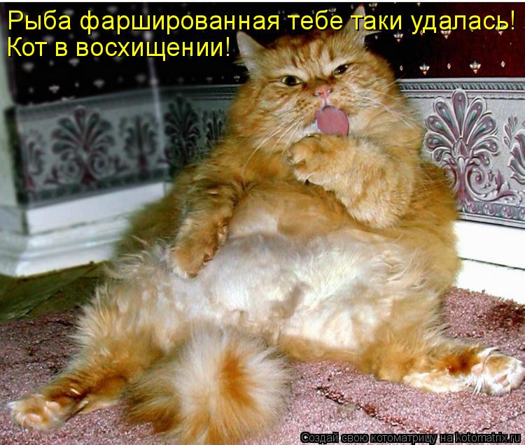 Рыба фаршированная тебе таки удалась! Кот в восхищении!... Котоматрица: Рыба фаршированная тебе таки удалась! Кот в восхищении!