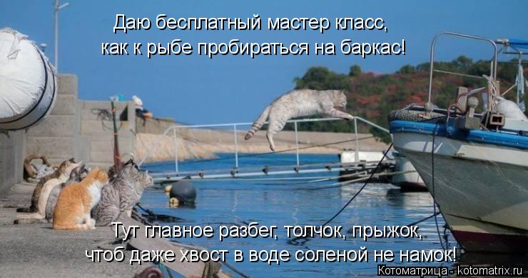 как к рыбе пробираться на баркас! чтоб даже хвост в воде соленой не намок! Тут главное разбег, толчок... Котоматрица: как к рыбе пробираться на баркас! чтоб даже хвост в воде соленой не намок! Тут главное разбег, толчок, прыжок, Даю бесплатный мастер класс,