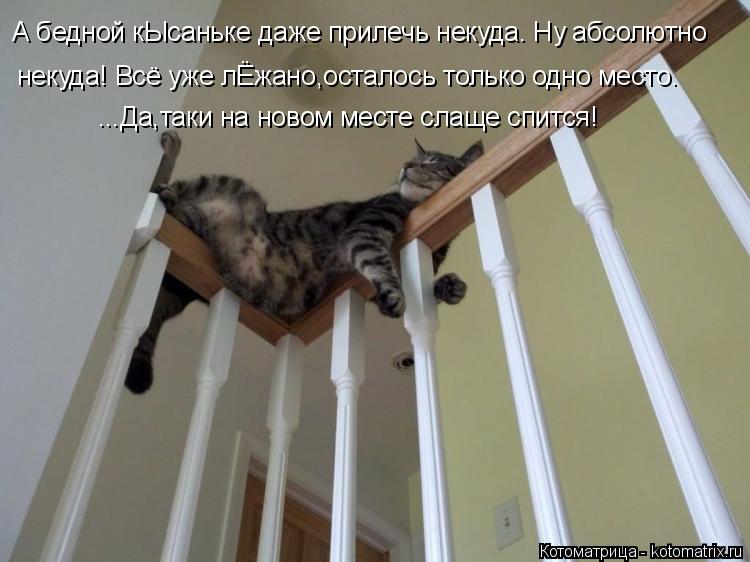 А бедной кЫсаньке даже прилечь некуда. Ну абсолютно некуда! Всё уже лЁжано,осталось только одно мест... Котоматрица: А бедной кЫсаньке даже прилечь некуда. Ну абсолютно некуда! Всё уже лЁжано,осталось только одно место. ...Да,таки на новом месте слаще спится