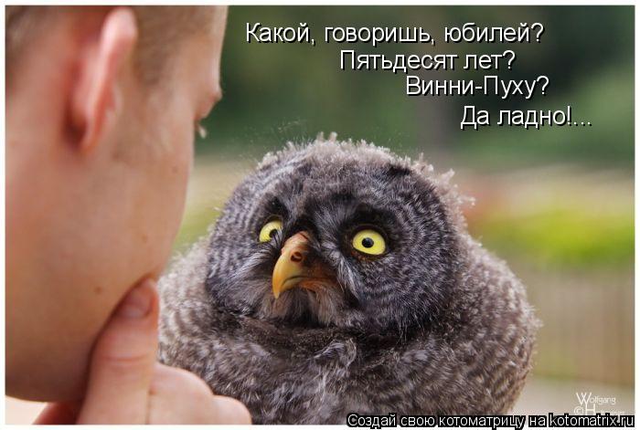 Какой, говоришь, юбилей? Пятьдесят лет? Винни-Пуху? Да ладно!...... Котоматрица: Какой, говоришь, юбилей? Пятьдесят лет? Винни-Пуху? Да ладно!...
