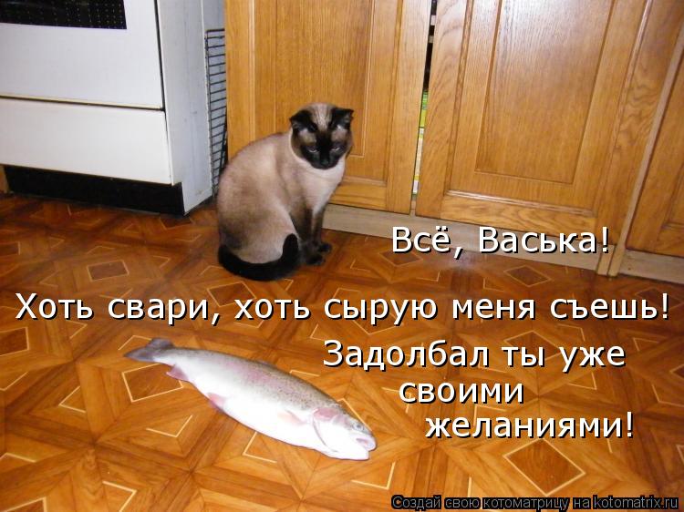 желаниями! своими Задолбал ты уже Хоть свари, хоть сырую меня съешь! Всё, Васька!... Котоматрица: желаниями! своими Задолбал ты уже Хоть свари, хоть сырую меня съешь! Всё, Васька!