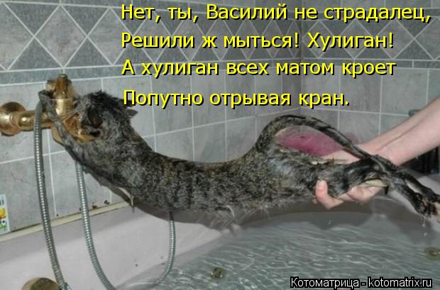 Нет, ты, Василий не страдалец, Решили ж мыться! Хулиган! Попутно отрывая кран. А хулиган всех матом к... Котоматрица: Нет, ты, Василий не страдалец, Решили ж мыться! Хулиган! Попутно отрывая кран. А хулиган всех матом кроет