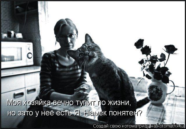 Моя хозяйка вечно тупит по жизни, но зато у неё есть Я. Намёк понятен?... Котоматрица: Моя хозяйка вечно тупит по жизни, но зато у неё есть Я. Намёк понятен?