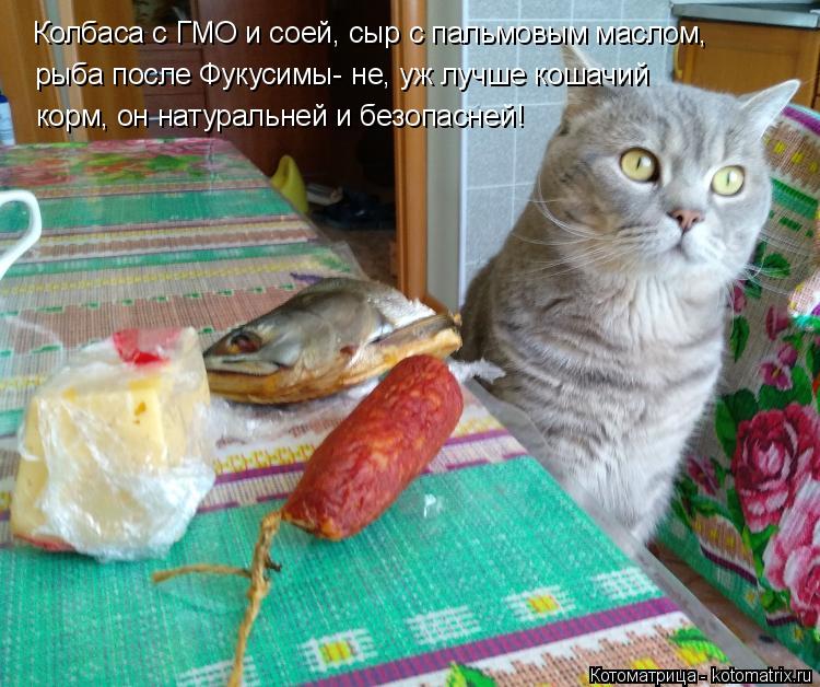 Котоматрица: Колбаса с ГМО и соей, сыр с пальмовым маслом, рыба после Фукусимы- не, уж лучше кошачий корм, он натуральней и безопасней!