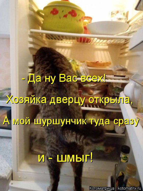 - Да ну Вас всех! Хозяйка дверцу открыла, А мой шуршунчик туда сразу и - шмыг!... Котоматрица: - Да ну Вас всех! Хозяйка дверцу открыла, А мой шуршунчик туда сразу и - шмыг!
