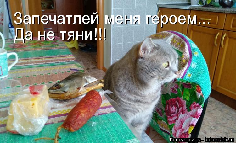 Запечатлей меня героем... Да не тяни!!!... Котоматрица: Запечатлей меня героем... Да не тяни!!!