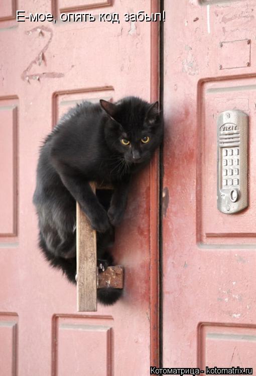 Е-мое, опять код забыл!... Котоматрица: Е-мое, опять код забыл!