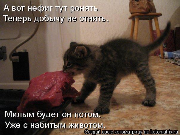 Котоматрица: А вот нефиг тут ронять. Теперь добычу не отнять. Милым будет он потом. Уже с набитым животом.