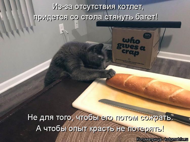 Из-за отсутствия котлет, придется со стола стянуть багет! Не для того, чтобы его потом сожрать. А что... Котоматрица: Из-за отсутствия котлет, придется со стола стянуть багет! Не для того, чтобы его потом сожрать. А чтобы опыт красть не потерять!