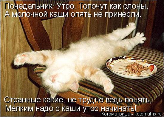Понедельник. Утро. Топочут как слоны. А молочной каши опять не принесли. Мелким надо с каши утро начи... Котоматрица: Понедельник. Утро. Топочут как слоны. А молочной каши опять не принесли. Мелким надо с каши утро начинать! Странные какие, не трудно ведь пон?