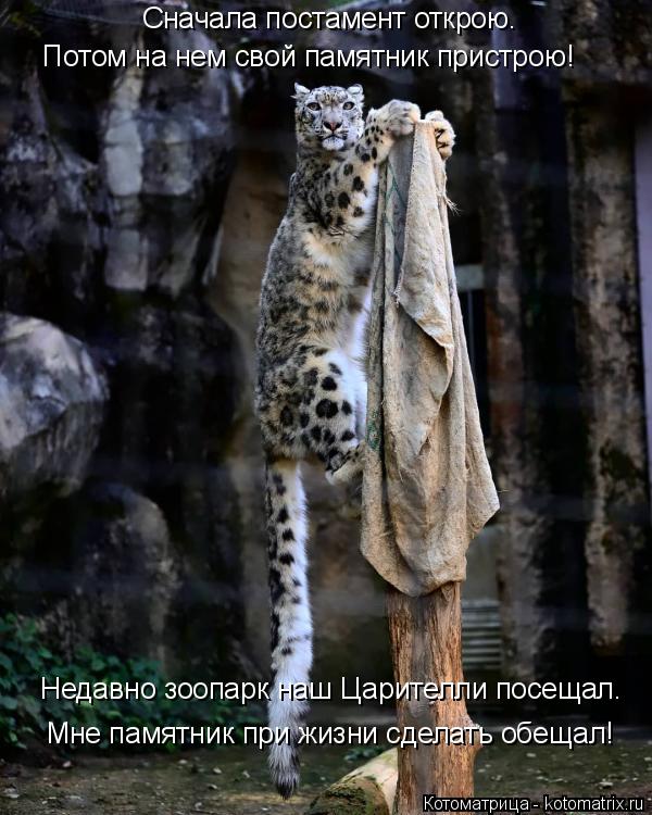 Сначала постамент открою. Потом на нем свой памятник пристрою! Недавно зоопарк наш Царителли посещал.... Котоматрица: Сначала постамент открою. Потом на нем свой памятник пристрою! Недавно зоопарк наш Царителли посещал. Мне памятник при жизни сделать обеща?