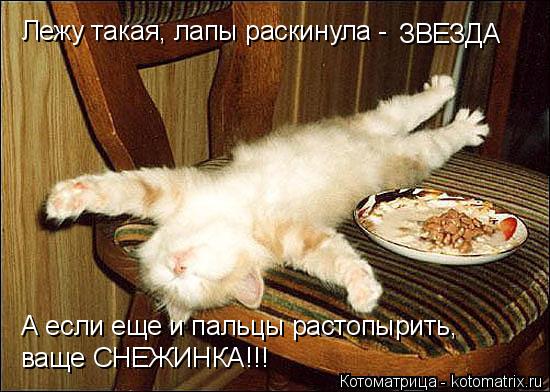 Лежу такая, лапы раскинула - ЗВЕЗДА А если еще и пальцы растопырить, ваще СНЕЖИНКА!!!... Котоматрица: Лежу такая, лапы раскинула - ЗВЕЗДА А если еще и пальцы растопырить, ваще СНЕЖИНКА!!!