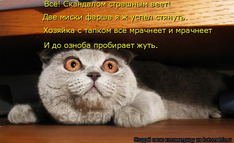 Всё! Скандалом страшным веет! Две миски фарша я ж успел стянуть. И до озноба пробирает жуть. Хозяйка ... Котоматрица: Всё! Скандалом страшным веет! Две миски фарша я ж успел стянуть. И до озноба пробирает жуть. Хозяйка с тапком всё мрачнеет и мрачнеет