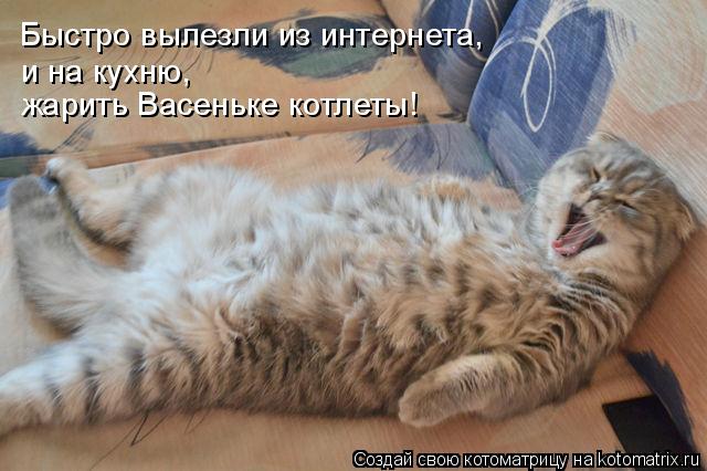 Быстро вылезли из интернета, и на кухню, жарить Васеньке котлеты!... Котоматрица: Быстро вылезли из интернета, и на кухню, жарить Васеньке котлеты!