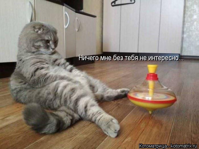 Ничего мне без тебя не интересно...... Котоматрица: Ничего мне без тебя не интересно...