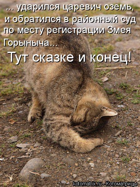... ударился царевич оземь, и обратился в районный суд по месту регистрации Змея Горыныча... Тут ска... Котоматрица: ... ударился царевич оземь, и обратился в районный суд по месту регистрации Змея Горыныча... Тут сказке и конец!