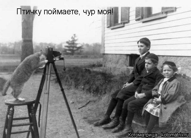 Птичку поймаете, чур моя!... Котоматрица: Птичку поймаете, чур моя!