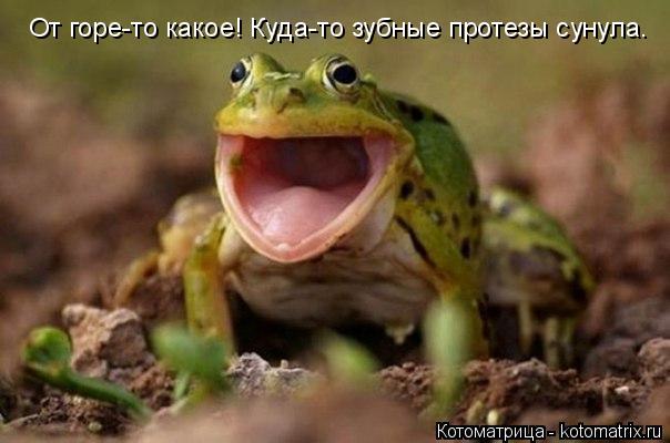 От горе-то какое! Куда-то зубные протезы сунула.... Котоматрица: От горе-то какое! Куда-то зубные протезы сунула.