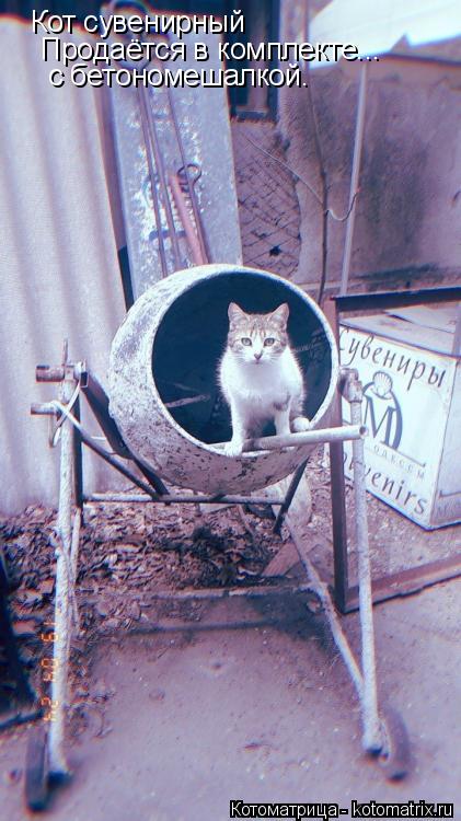 Кот сувенирный Продаётся в комплекте... с бетономешалкой.... Котоматрица: Кот сувенирный Продаётся в комплекте... с бетономешалкой.