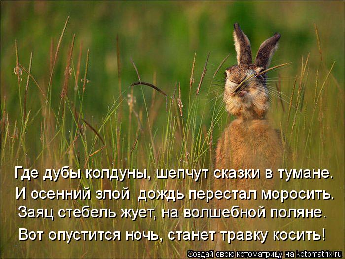 Заяц стебель жует, на волшебной поляне. Где дубы колдуны, Где дубы колдуны, шепчут сказки в тумане. ... Котоматрица: Заяц стебель жует, на волшебной поляне. Где дубы колдуны, Где дубы колдуны, шепчут сказки в тумане. Вот опустится ночь, станет травку косить!