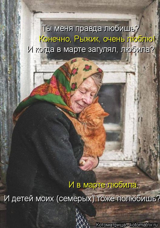 Котоматрица: И детей моих (семерых) тоже полюбишь?... Ты меня правда любишь? Конечно, Рыжик, очень люблю! И когда в марте загулял, любила? И в марте любила.