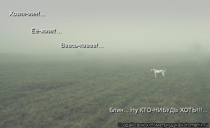 Блин... Ну КТО-НИБУДЬ ХОТЬ!!!... Хозяя-иин!... Ваась-каааа!... Ёё-жиик!...... Котоматрица: Блин... Ну КТО-НИБУДЬ ХОТЬ!!!... Хозяя-иин!... Ваась-каааа!... Ёё-жиик!...