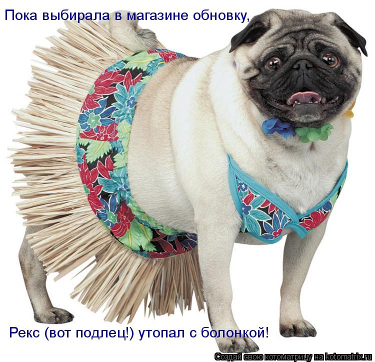 Пока выбирала в магазине обновку, Рекс (вот подлец!) утопал с болонкой!... Котоматрица: Пока выбирала в магазине обновку, Рекс (вот подлец!) утопал с болонкой!
