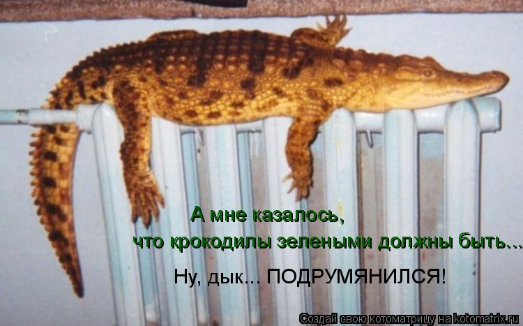 А мне казалось, что крокодилы зелеными должны быть... Ну, дык... ПОДРУМЯНИЛСЯ!... Котоматрица: А мне казалось, что крокодилы зелеными должны быть... Ну, дык... ПОДРУМЯНИЛСЯ!