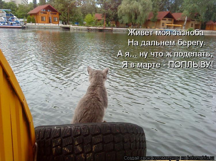 http://kotomatrix.ru/images/lolz/2019/09/21/kotomatritsa_j7.jpg