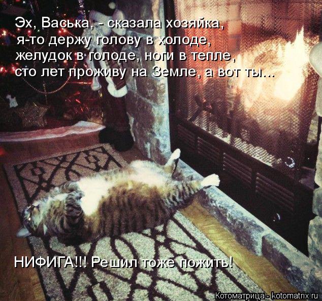 Эх, Васька, - сказала хозяйка, я-то держу голову в холоде, желудок в голоде, ноги в тепле, сто лет... Котоматрица: Эх, Васька, - сказала хозяйка, я-то держу голову в холоде, желудок в голоде, ноги в тепле, сто лет проживу на Земле, а вот ты... НИФИГА!!! Решил т?