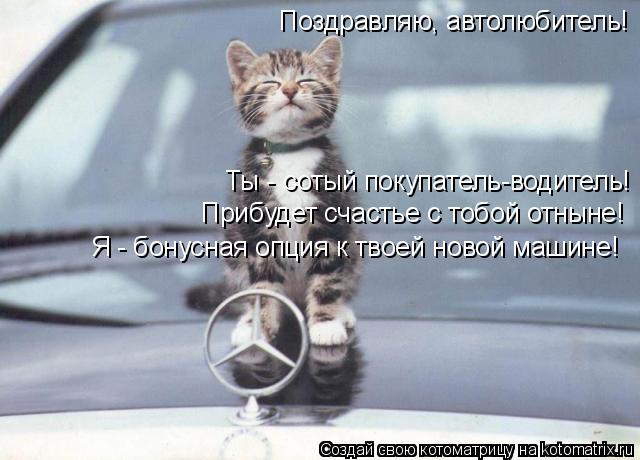 Поздравляю, автолюбитель! Ты - сотый покупатель-водитель! Прибудет счастье с тобой отныне! Я - бонусн... Котоматрица: Поздравляю, автолюбитель! Ты - сотый покупатель-водитель! Прибудет счастье с тобой отныне! Я - бонусная опция к твоей новой машине!