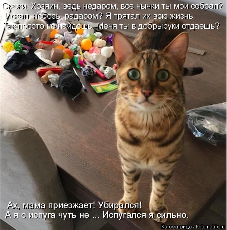 А я с испуга чуть не ... Испугался я сильно. Ах, мама приезжает! Убирался! Скажи, Хозяин, ведь недаро... Котоматрица: А я с испуга чуть не ... Испугался я сильно. Ах, мама приезжает! Убирался! Скажи, Хозяин, ведь недаром, все нычки ты мои собрал? Искал, небось, ра?