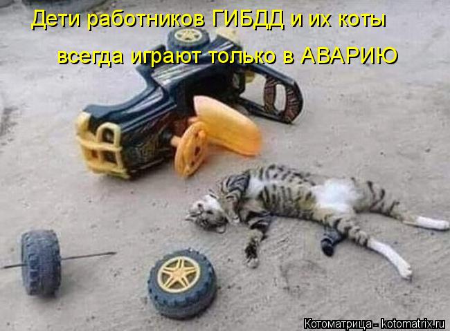 Дети работников ГИБДД и их коты всегда играют только в АВАРИЮ... Котоматрица: Дети работников ГИБДД и их коты всегда играют только в АВАРИЮ