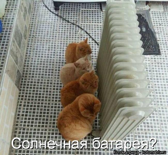 Солнечная батарея?... Котоматрица: Солнечная батарея?