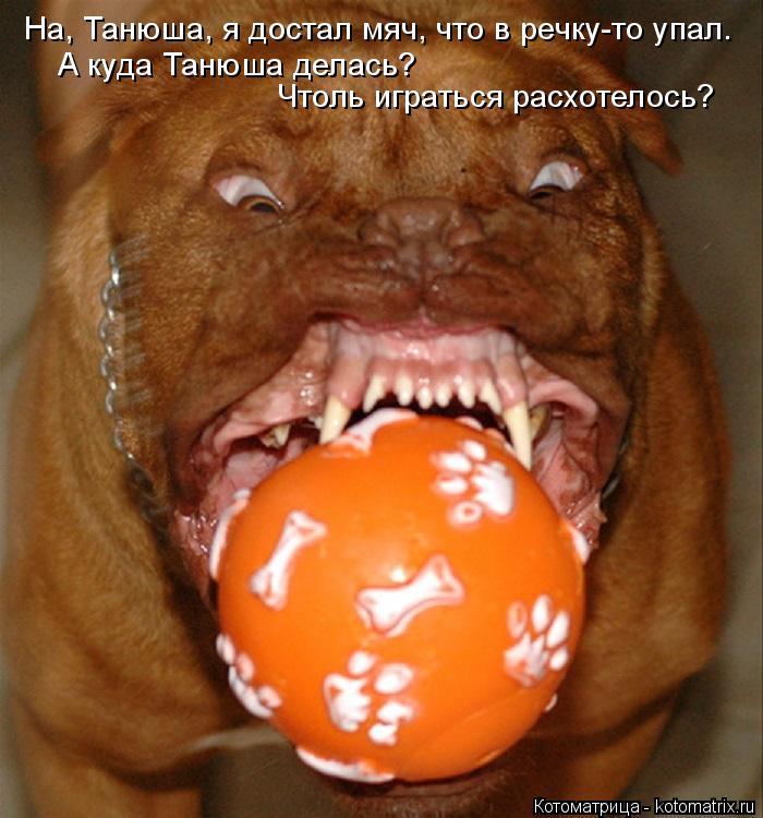 На, Танюша, я достал мяч, что в речку-то упал. А куда Танюша делась? Чтоль играться расхотелось?... Котоматрица: На, Танюша, я достал мяч, что в речку-то упал. А куда Танюша делась? Чтоль играться расхотелось?
