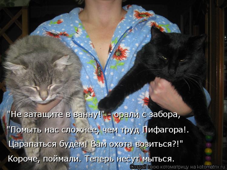 "Помыть нас сложнее, чем труд Пифагора!. Царапаться будем! Вам охота возиться?!" "Не затащите в ванну... Котоматрица: "Помыть нас сложнее, чем труд Пифагора!. Царапаться будем! Вам охота возиться?!" "Не затащите в ванну!" - орали с забора, Короче, поймали. Теперь