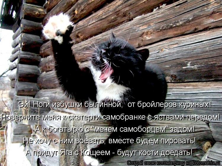Эй! Ноги избушки былинной, от бройлеров куриных! Поверните меня к скатерти самобранке с яствами пере... Котоматрица: Эй! Ноги избушки былинной, от бройлеров куриных! Поверните меня к скатерти самобранке с яствами передом! А к богатырю с "мечем самоборцем" з?