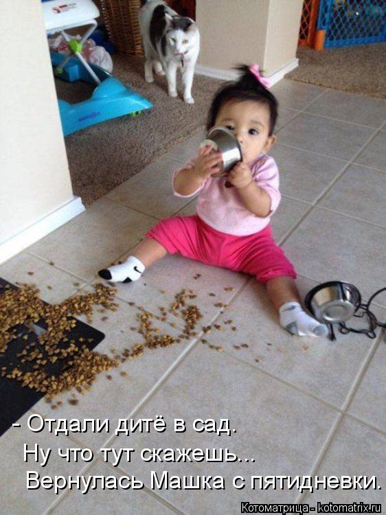 Котоматрица: Ну что тут скажешь...  - Отдали дитё в сад.   Вернулась Машка с пятидневки.
