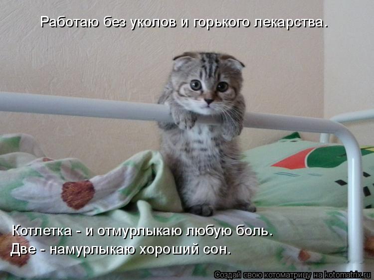 Работаю без уколов и горького лекарства. Котлетка - и отмурлыкаю любую боль. Две - намурлыкаю хороший... Котоматрица: Работаю без уколов и горького лекарства. Котлетка - и отмурлыкаю любую боль. Две - намурлыкаю хороший сон.