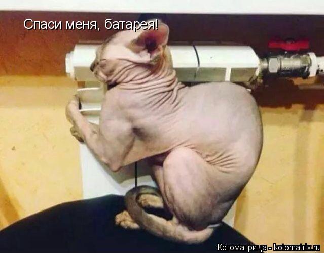 Спаси меня, батарея!... Котоматрица: Спаси меня, батарея!