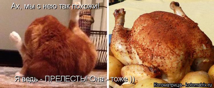 Ах, мы с нею так похожи! Я ведь - ПРЕЛЕСТЬ! Она - тоже ))... Котоматрица: Ах, мы с нею так похожи! Я ведь - ПРЕЛЕСТЬ! Она - тоже ))