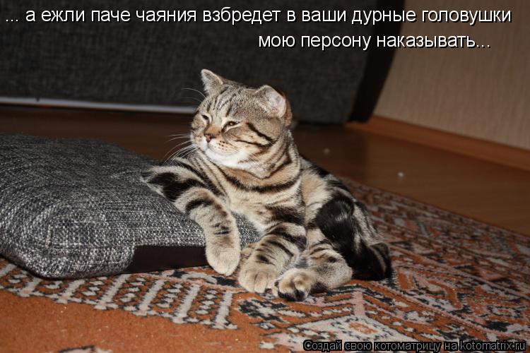 ... а ежли паче чаяния взбредет в ваши дурные головушки мою персону наказывать...... Котоматрица: ... а ежли паче чаяния взбредет в ваши дурные головушки мою персону наказывать...