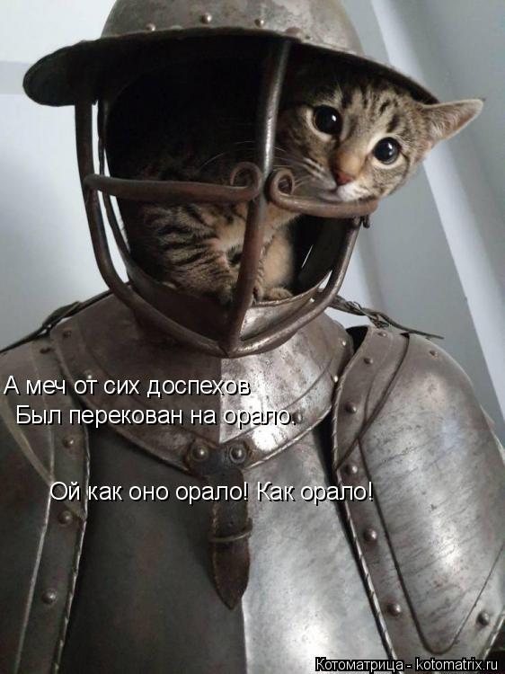 А меч от сих доспехов Был перекован на орало. Ой как оно орало! Как орало!... Котоматрица: А меч от сих доспехов Был перекован на орало. Ой как оно орало! Как орало!