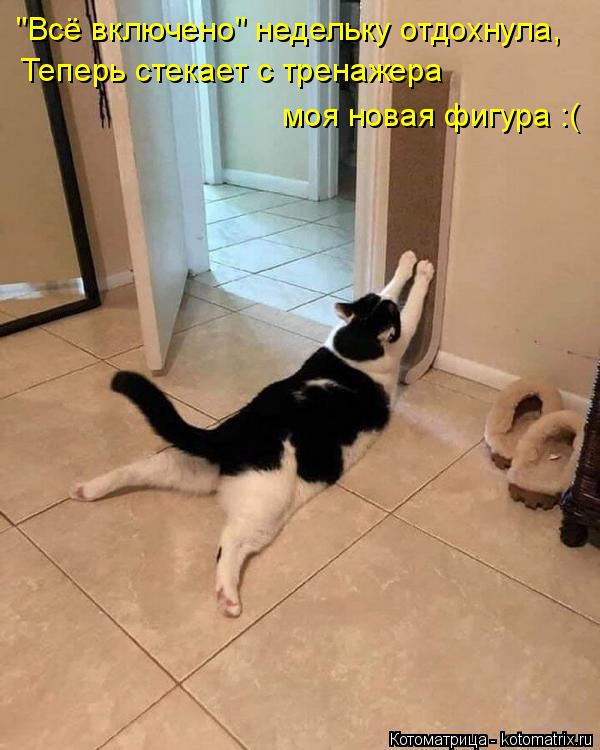 Котоматрица: "Всё включено" недельку отдохнула, Теперь стекает с тренажера  моя новая фигура :(