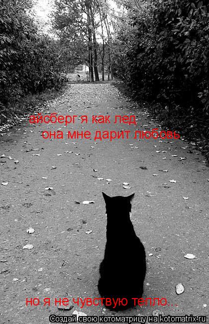 айсберг я как лед она мне дарит любовь но я не чувствую тепло...... Котоматрица: айсберг я как лед она мне дарит любовь но я не чувствую тепло...