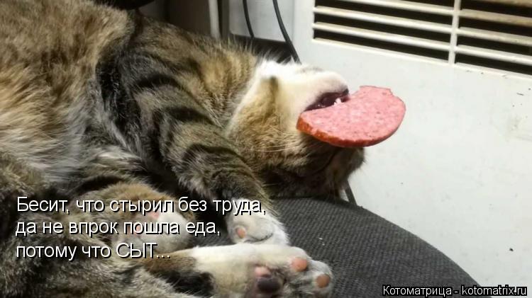 Бесит, что стырил без труда, да не впрок пошла еда, потому что СЫТ...... Котоматрица: Бесит, что стырил без труда, да не впрок пошла еда, потому что СЫТ...