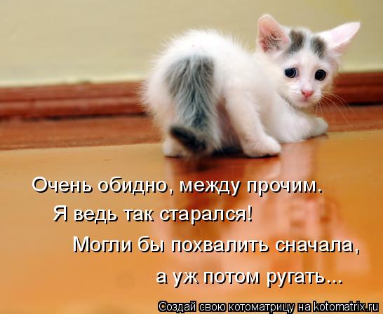 Очень обидно, между прочим. Я ведь так старался! Могли бы похвалить сначала, а уж потом ругать...... Котоматрица: Очень обидно, между прочим. Я ведь так старался! Могли бы похвалить сначала, а уж потом ругать...