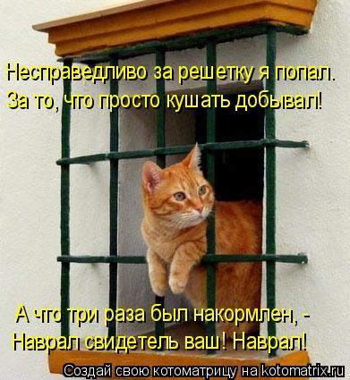 Несправедливо за решетку я попал. За то, что просто кушать добывал! Наврал свидетель ваш! Наврал! А ч... Котоматрица: Несправедливо за решетку я попал. За то, что просто кушать добывал! Наврал свидетель ваш! Наврал! А что три раза был накормлен, -