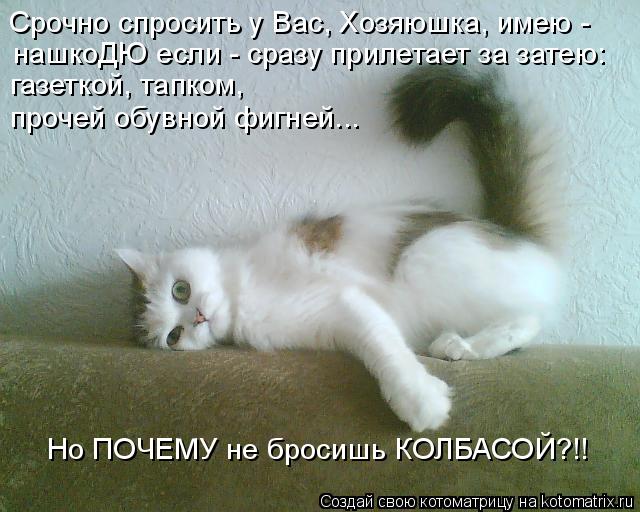 http://kotomatrix.ru/images/lolz/2019/10/01/kotomatritsa_W1.jpg